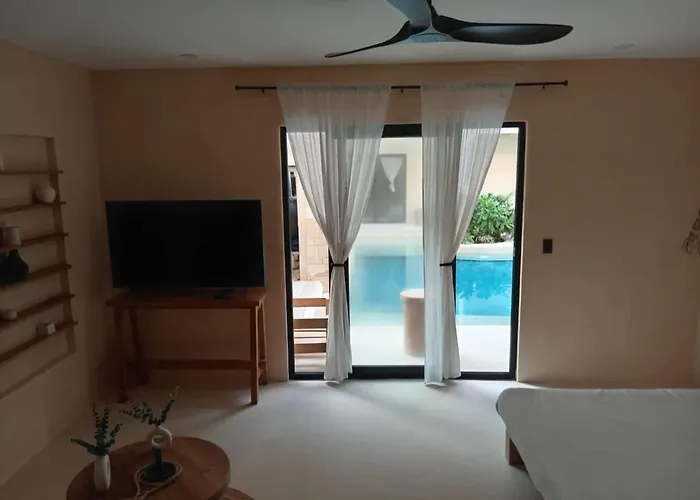 Cocay Lofts 108 Swim Up *